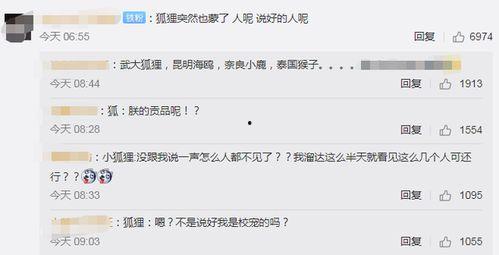 武汉网红爆料视频大全集,揭秘城市生活百态
